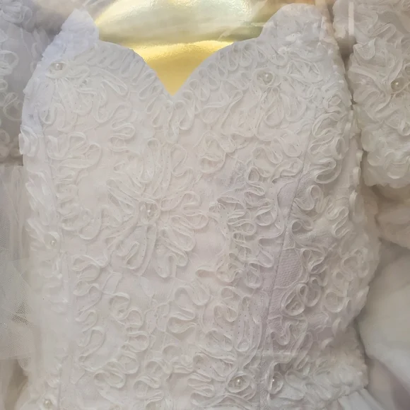Breathtaking Ballgown Wedding Dress with Long Cathedral Style Veil Vintage